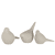NoColour